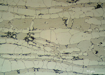 Fig. 8 — Micrografia com ataque eletrolítico de um aço inoxidável duplex apresentando as fases austenita (mais clara), ferrita e sigma (pontos escuros). Amostra analisada no laboratório.